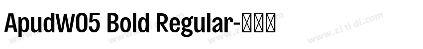 ApudW05 Bold Regular字体转换